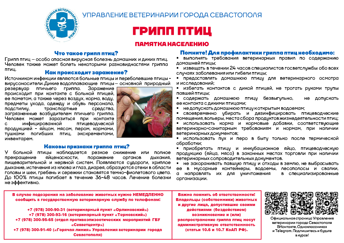 Грипп птиц